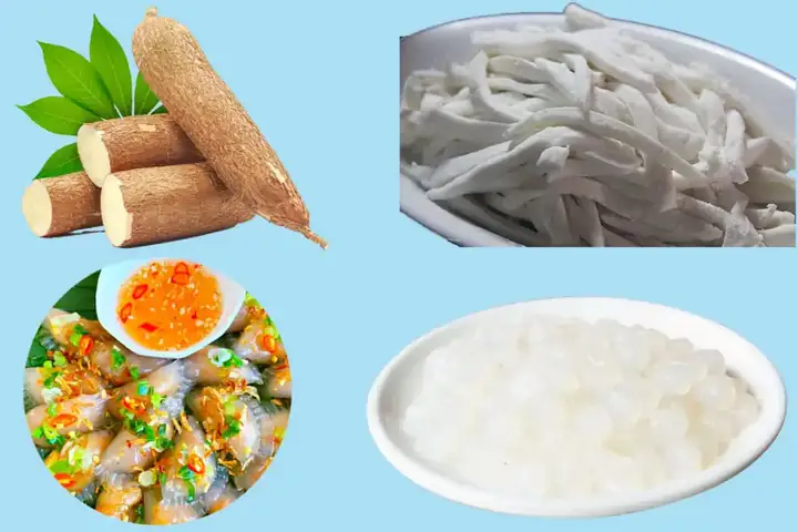 Bột Lọc Làm Từ Gì? Bảng So Sánh Chi Tiết Với Các Loại Bột Phổ Biến