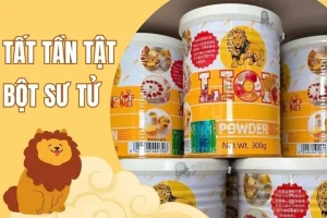 Bột Sư Tử Thay Bằng Bột Gì