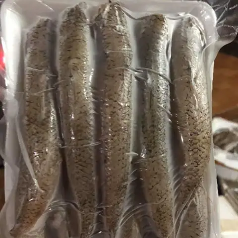 Cá Bống Biển 1 Nắng