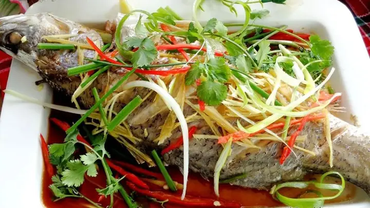 Cá Bớp Hấp Cuốn Bánh Tráng