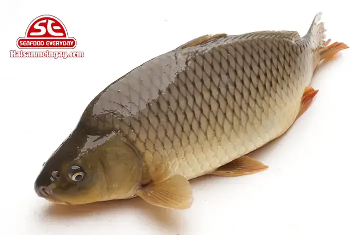 Cá Chép Giòn Nấu Khoai Cao