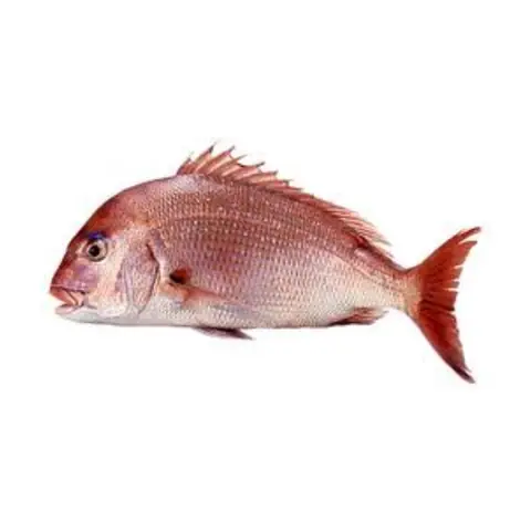 Cá Bánh Đường Là Gì? Cẩm Nang Toàn Diện Từ Chọn Cá Đến Nấu Ăn
