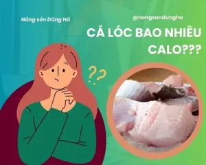 Cá Lóc Kho Bao Nhiêu Calo? Phân Tích Chi Tiết & Mẹo Ăn Lành Mạnh