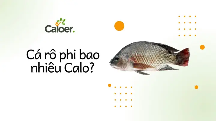 Cá Rô Phi Có Bao Nhiêu Calo? Phân Tích Chi Tiết Khi Rán