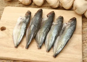 Cá Trác Là Gì? Đặc Điểm, Phân Biệt & Cách Chọn Mua