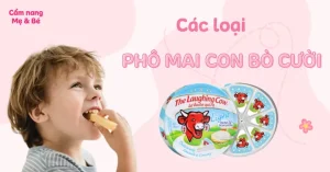 Các Loại Phô Mai Con Bò Cười: Tổng Hợp Đầy Đủ Nhất