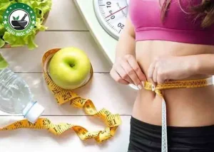 Món Ăn Giảm Cân Cho Nữ: Thực Đơn Healthy Đầy Đủ Dinh Dưỡng