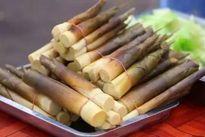 Hướng Dẫn Toàn Tập: Cách Chế Biến Măng Tươi An Toàn Và Các Món Ăn Ngon