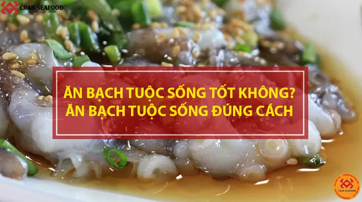 Ăn Bạch Tuộc Sống: Tất Tần Tật Từ Nguồn Gốc, Cách Ăn Đúng Đến Lưu Ý Sức Khỏe
