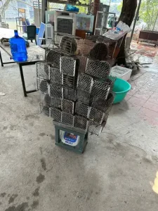 Cách Chế Biến Món Ăn Từ Dúi