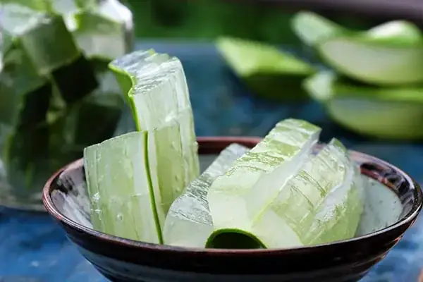 Hướng Dẫn Chi Tiết Cách Chế Biến Nha Đam Tươi Để Ăn An Toàn Và Ngon