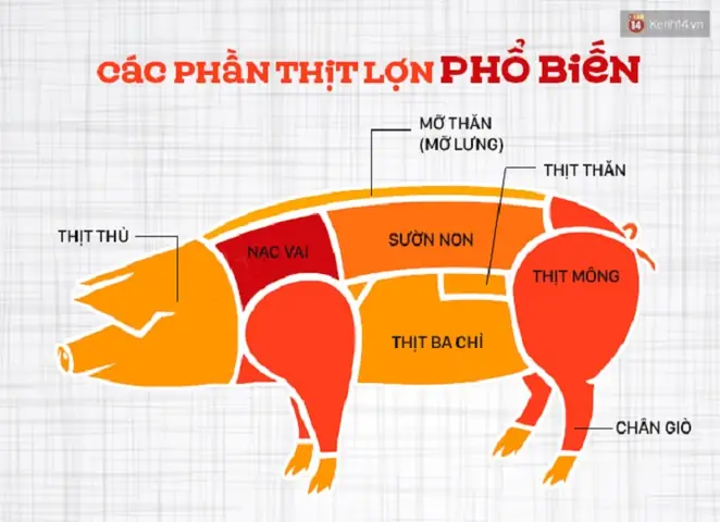 Cách Chế Biến Thịt Thủ Lợn