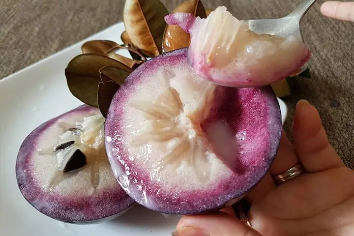 Cách Cho Trẻ Ăn Quả Vú Sữa