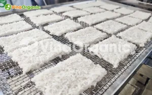 Cách Làm Cơm Cháy Giòn Xốp