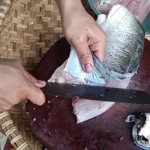 Cách Làm Gỏi Cá Mè Ngon Nhất: Quy Trình Chuẩn Và Bí Quyết Vàng