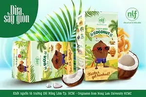 Cách Làm Mứt Dừa Khô Giòn Chuẩn Vị Tại Nhà