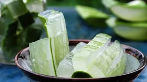 Cách Làm Nha Đam An Sống