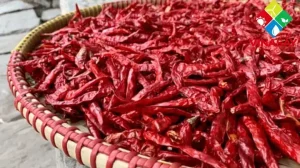 Cách Làm Ớt Bột Khô Tại Nhà Chuẩn Vị, Đảm Bảo An Toàn Tuyệt Đối