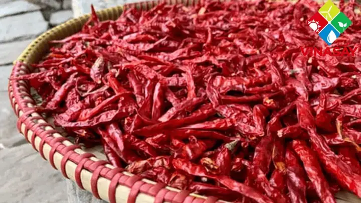 Cách Làm Ớt Bột Khô Tại Nhà Chuẩn Vị, Đảm Bảo An Toàn Tuyệt Đối