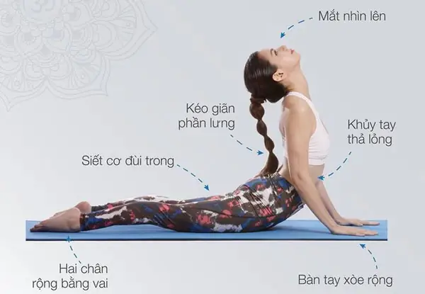 Cách Làm Rắn Hổ Mang