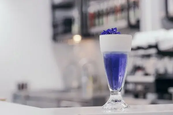 Cách Làm Trà Hoa Đậu Biếc Macchiato Thơm Ngon, Mát Lạnh Tại Nhà