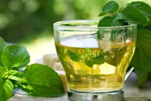 Hướng Dẫn Chi Tiết Cách Làm Trà Quất Bạc Hà Tại Nhà