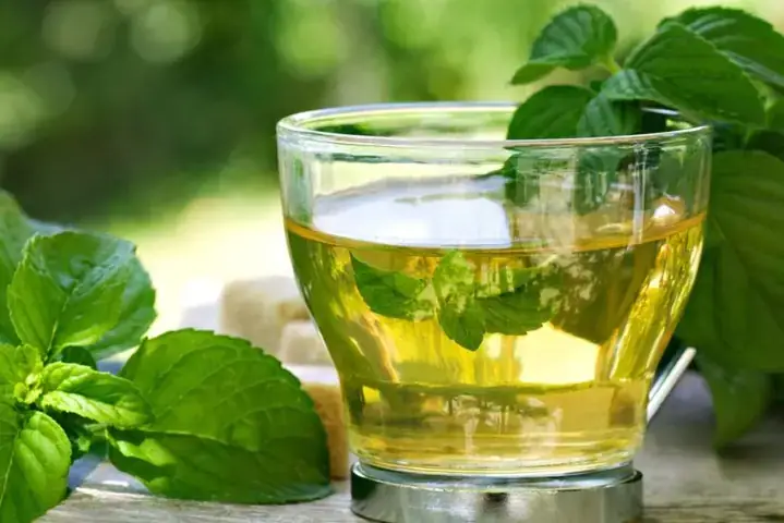 Hướng Dẫn Chi Tiết Cách Làm Trà Quất Bạc Hà Tại Nhà