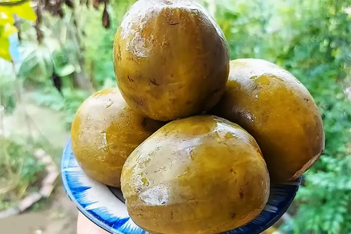 Cách Muối Dưa Hấu Non
