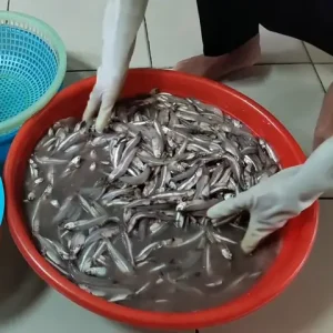 Cách Muối Nước Mắm Cá Cơm