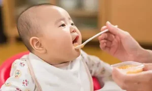 Hướng Dẫn Toàn Tập: Cách Nấu Cháo Ăn Dặm Cho Trẻ 1 Tuổi Và Thực Đơn 7 Ngày Đa Dạng