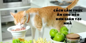 Cách Nấu Đồ Ăn Cho Mèo