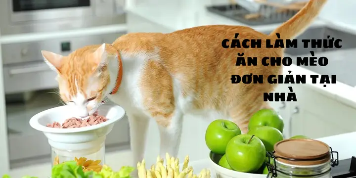 Cách Nấu Đồ Ăn Cho Mèo