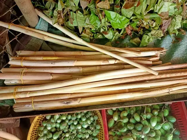 Cách Nấu Đọt Mây Lá Nhíp