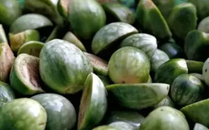 Cách Nấu Ếch Om Cà Đắng Chuẩn Vị Tây Nguyên Tại Nhà