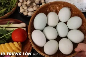 Cách Nấu Lẩu Bầu Trứng Vịt Lộn Chuẩn Vị: Hướng Dẫn Từ A Đến Z