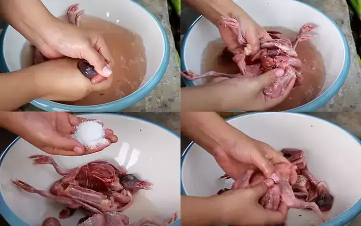 Cách Nấu Lẩu Bồ Câu Băm