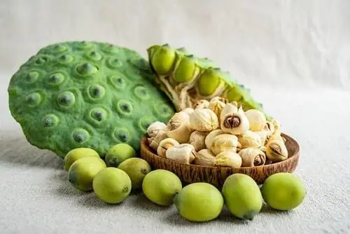 Cách Nấu Nước Hạt Sen Khô Thơm Ngon, Bổ Dưỡng Tại Nhà