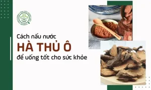 Hướng Dẫn Chi Tiết Cách Nấu Nước Lá Hà Thủ Ô Để Uống