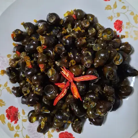Hướng Dẫn Toàn Tập Cách Nấu Ốc Gạo Biển Từ A-z: Chọn, Sơ Chế & 3 Công Thức Vàng