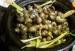 Cách Nấu Ốc Gạo Ngon: Từ Chọn Mua Đến 3 Công Thức Đỉnh Cao