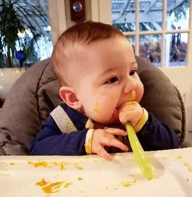 Hướng Dẫn Chi Tiết Cách Nấu Rắn Canh Gừng Chuẩn Vị Tại Nhà