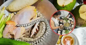 Cách Nấu Rắn Mèo Gà