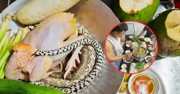 Cách Nấu Rắn Mèo Gà
