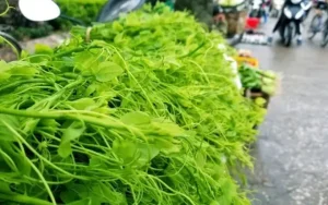 Cách Nấu Rau Bò Khai Chuẩn Vị: Hướng Dẫn Từ A Đến Z