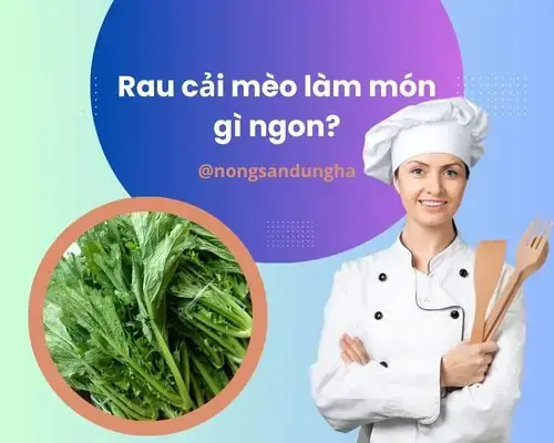 Hướng Dẫn Toàn Tập Cách Nấu Rau Cải Mèo Ngon Giòn, Giữ Trọn Dinh Dưỡng