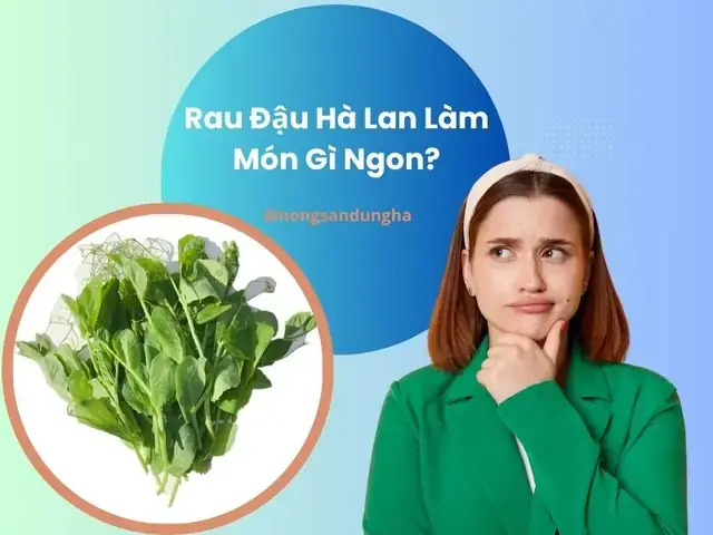 Hướng Dẫn Chi Tiết Cách Nấu Rau Đậu Hà Lan Ngon, Giữ Được Màu Xanh Mướt