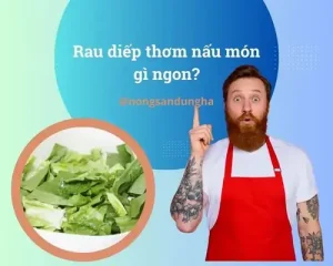 Hướng Dẫn Chi Tiết Cách Nấu Rau Diếp Lá Dài Giòn Xanh Chuẩn Vị