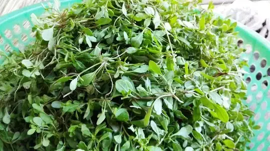 Cách Nấu Rau Sắn Với Tép