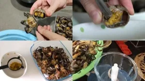 Cách Làm Bún Riêu Cua Dấm Bỗng Chuẩn Vị: Từ A Đến Z