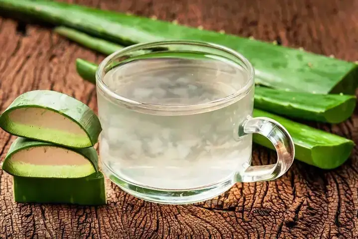 Cách Nấu Sâm Nha Đam Thơm Ngon, Không Đắng Tại Nhà